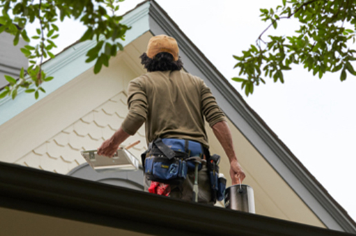 pro painting