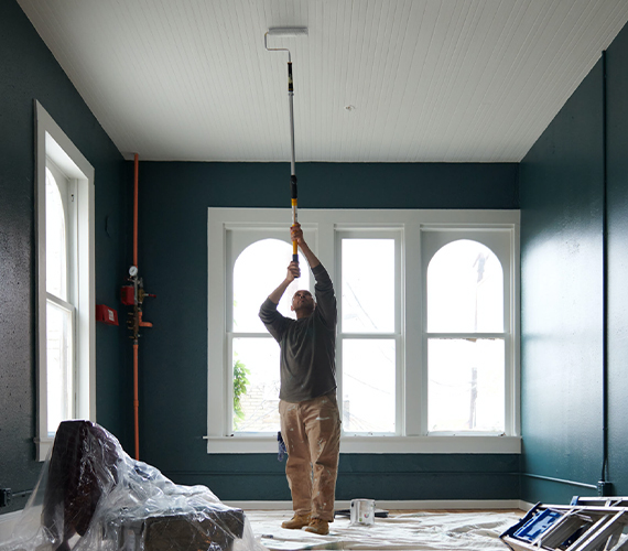pro painting
